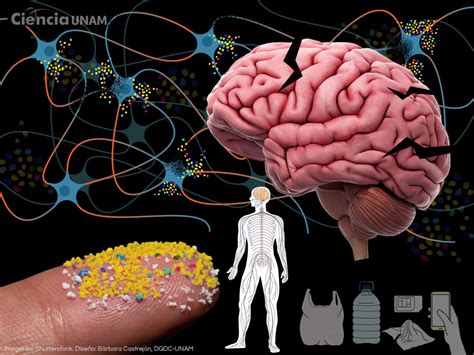 Los Micropl Sticos Logran Llegar A Nuestros Pulmones Ciencia Unam