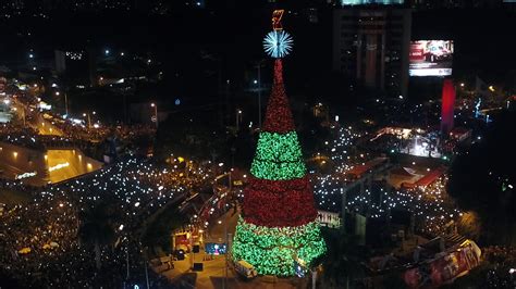 El Festival Rbol Gallo Llevar El Esp Ritu De Las Fiestas De Fin De