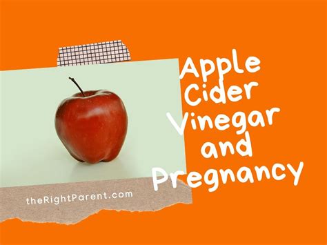 Apple Cider Vinegar In Pregnancy Everything To Know