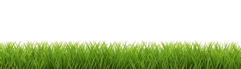 Premium Vector | Grass Border And With White Background