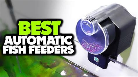 Best Automatic Fish Feeders For Easy Feeding Tested