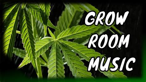 Music For Cannabis Grow 🌱 Plant Growth Music Grow Room Music 8hr