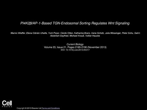 Pi K Ap Based Tgn Endosomal Sorting Regulates Wnt Signaling Ppt