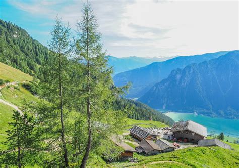 Tirol Alm über dem Achensee Dalfazalm am Achensee HOME of TRAVEL