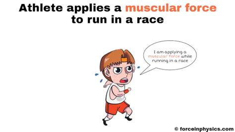 Muscular Force (Easy Definition) + Examples in Daily Life