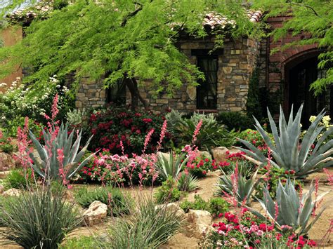 The Essential Guide To Drought Tolerant Plants For California