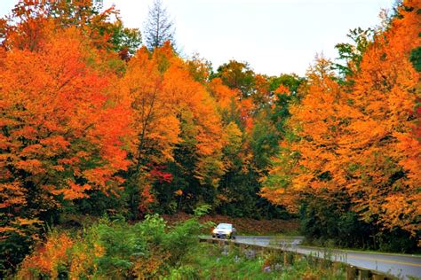 Leaf Peeping Map 2023 Plan Your Fall Rv Trips Rving With Rex