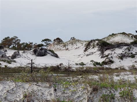 Barrier Islands In The Fl Panhandle My Exquisite Florida