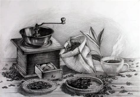 Still Life Pencil Drawing