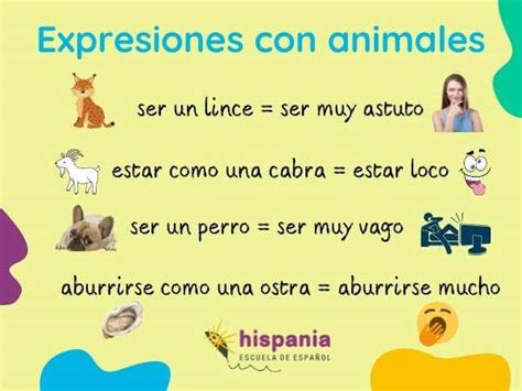 Expresiones Idiom Ticas Espa Olas Comparaciones Disparatadas