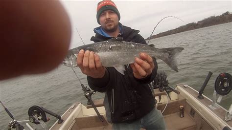 Spring Coho Salmon Fishing Lake Michigan 2017 YouTube