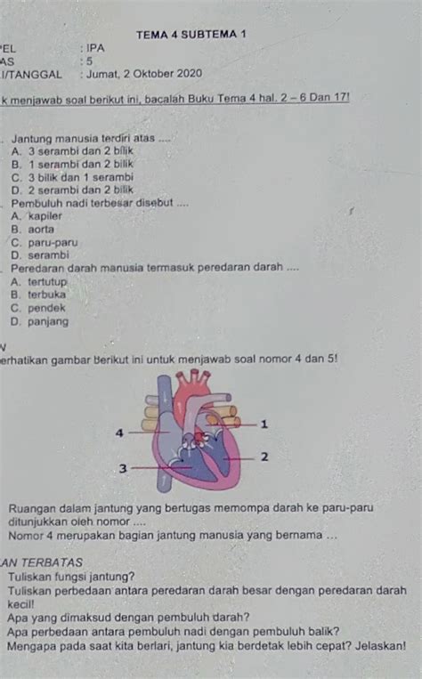 Sistem Sirkulasi Darag Soal Pilihan Ganda Kelas 11 Pendidik Siswa