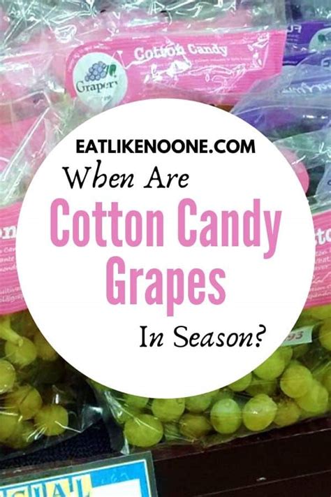 Cotton Candy Grapes Season 2025 - Almira Norina