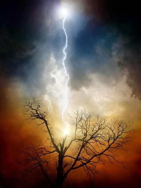 Tree struck by lightning stock photo. Image of light - 21764900