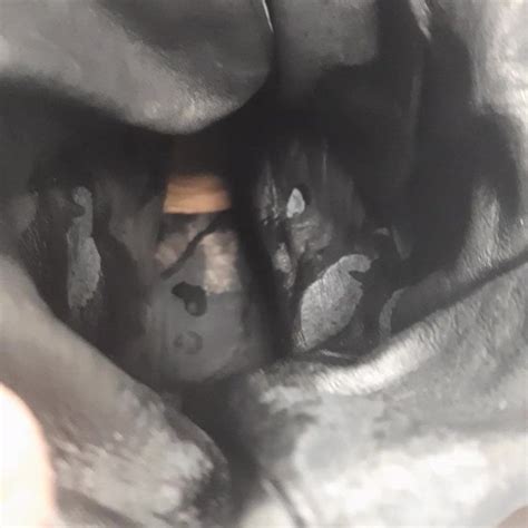 Ejac Bottes Free European HD Porn Video A8 XHamster