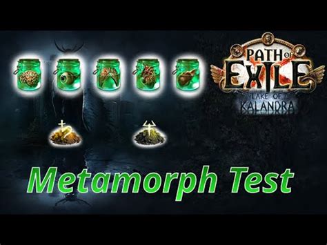 Poe Div H Metamorph Strategy Is Metamorph Actually Good This