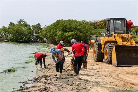 Contabilizan M S De Mil Toneladas De Desechos Recolectadas En El