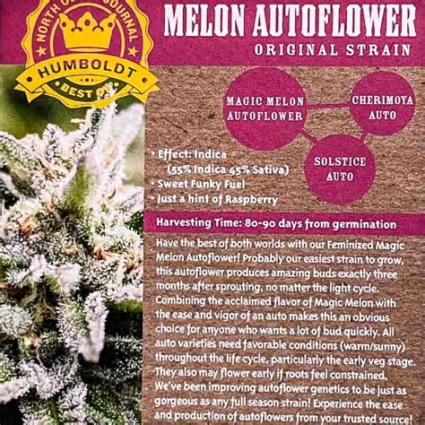 Humboldt Seed Company Magic Melon Auto 10 Feminized Autoflower