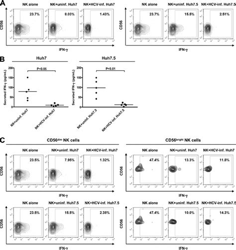 Reduced Ifn Production By Nk Cells After Interaction With