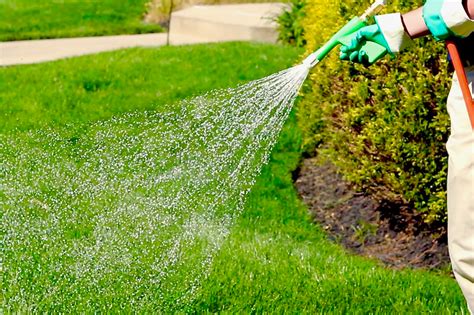 The Benefits Of Having A Professional Weed Control And Fertilization