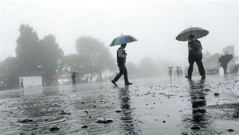 Cold Wave Alert In These States Imd Predicts Light Rainfall For Next