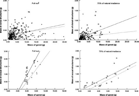 Relationship Between The Mass Of Clonal Or Sexual Structures And Mass