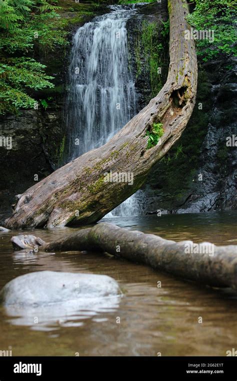 Waterfalls in the woods hi-res stock photography and images - Alamy