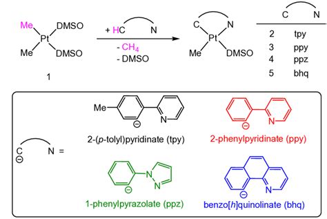 Scheme 1 Reaction Studied In This Work And Structure Of Ligands