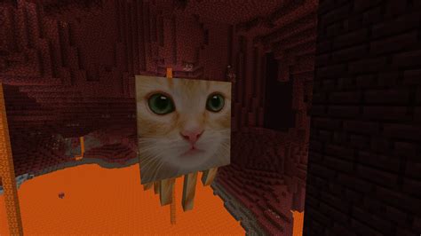 Cat Minecraft