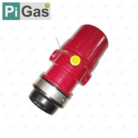 flm dtktor multi spectrum ir flame pgas