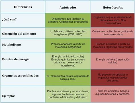 Elabora Un Cuadro Y Establece Las Diferencias Y Semejanzas Entre