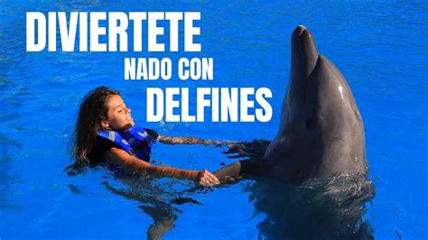 Nado Con DELFINES En CABO SAN LUCAS Increible Experiencia Sergio