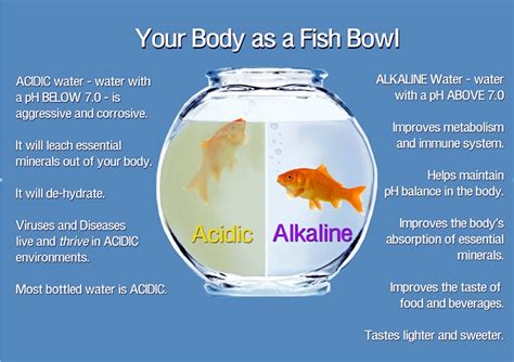 Acidic Water Vs Alkaline Water Water Synergy