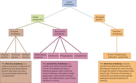 Med Microbio Ch 15 Adaptive Specific Immunity And Immunization