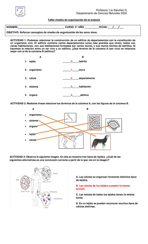 5A Ciencias Retroalim Taller 1 Profesora Lía Sánchez O