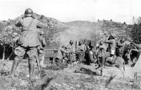 HISTÓRIA LICENCIATURA Animais na Primeira Guerra Mundial 1914 1918