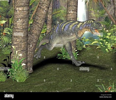 Dinosaurier Aucasaurus Dinosaur Aucasaurus Stock Photo Alamy