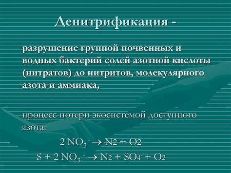 Биосфера, ее эволюция и устойчивость - online presentation