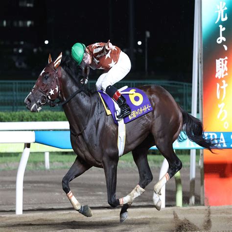 【フェブラリーs】南関東からミックファイア＆スピーディキック参戦 2年連続nar年度代表馬イグナイターも 2024年2月2日掲載