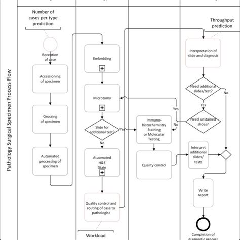 Pathology Surgical Specimen Process At The Dplm Download Scientific Diagram