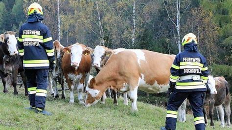 Gaal Strommast Brand löste Einsatz aus