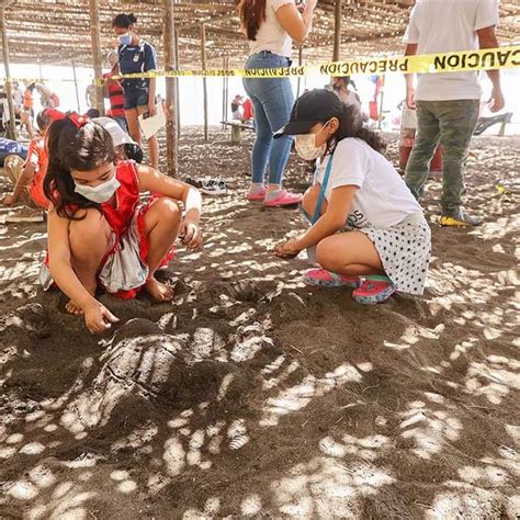 Universidad Autónoma de Chiriquí REALIZAN SEGUNDO FESTIVAL DE LA