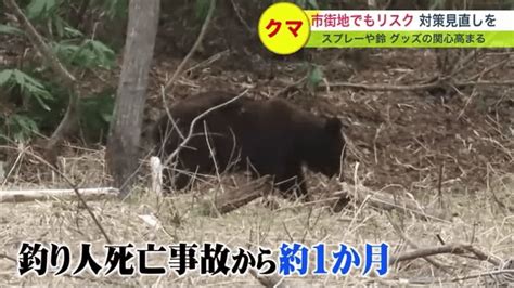 ヒグマの出没が過去最多に市街地でも繰り返し目撃 「クマよけグッズ」に関心高まる 【北海道発】｜fnnプライムオンライン