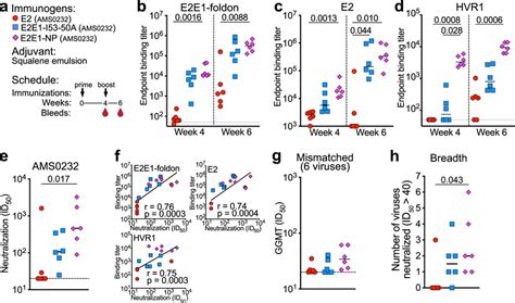 Immunogenicity Of E2e1 Nps In Rabbits A Rabbit Immunization Schedule