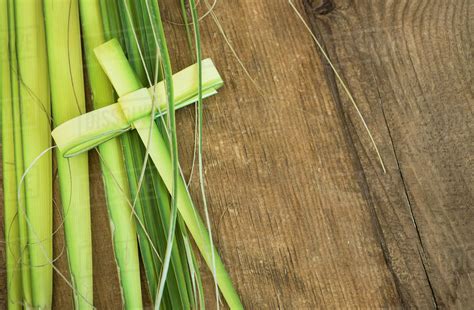 Palm Leaves For Palm Sunday Stock Photo Dissolve