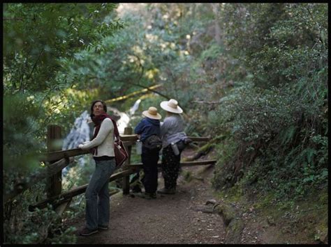 Bay Area Hikes That Are Even Better After The Rain Bay Area Hikes