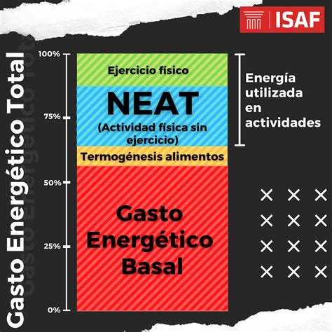 Cr A Espera Un Minuto Oficial Formulas Para Calcular Gasto Energetico