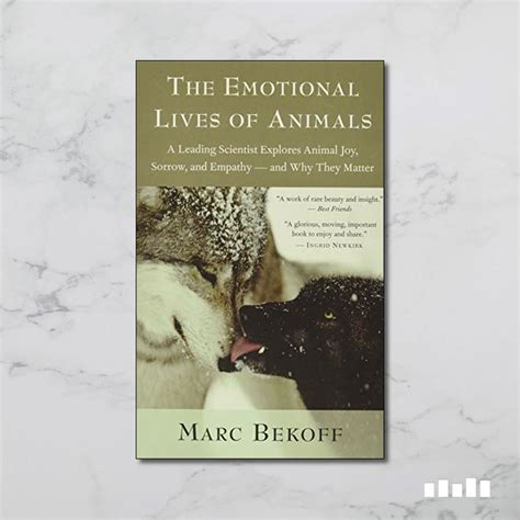 The Emotional Lives Of Animals Five Books Expert Reviews