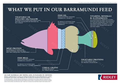 A Love Letter To Barramundi Skin