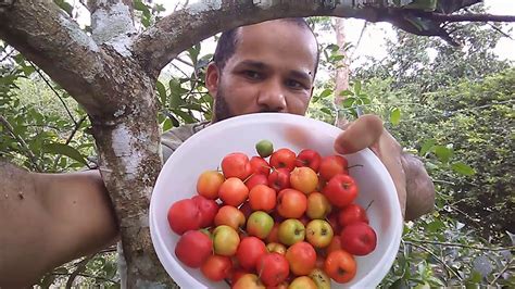 Acerola - YouTube